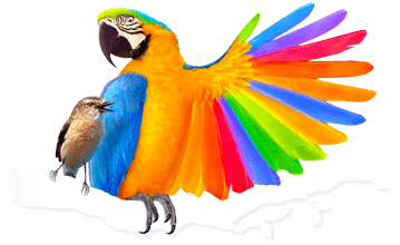 Создание фирменоого стиля